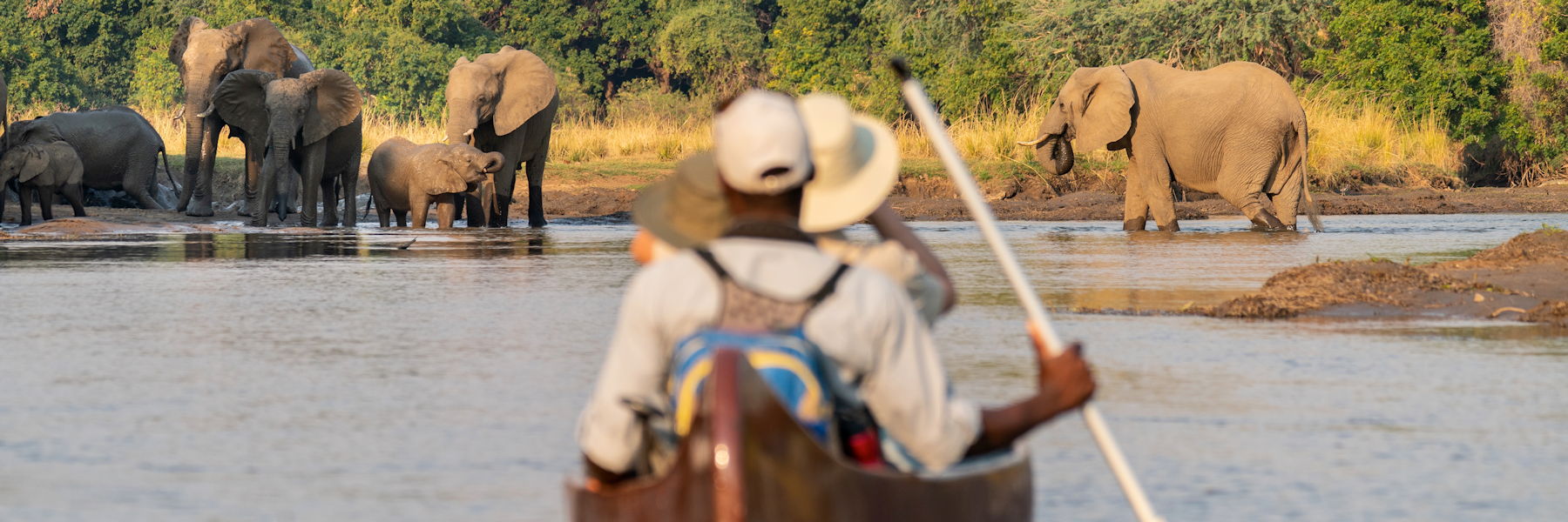 safari en canoe sur le zambeze - safari au zimbabwe