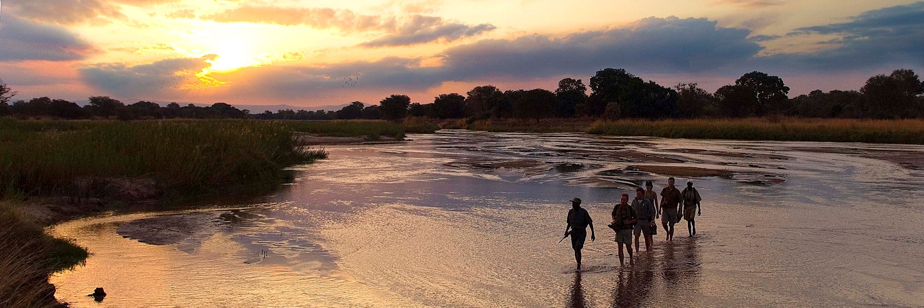 safari a pied dans le parc du south luangwa en zambie