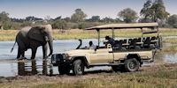 safari en 4x4 dans la reserve de Moremi - safari au Botswana