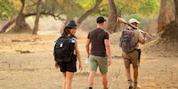 safari a pied a mana pools