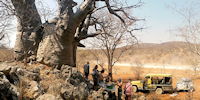 pique nique sous baobab geant dans les grands espaces desertiques du kaokaland - exploration en namibie