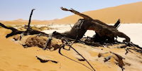 vue sur dead vlei dans le namib - voyage exploration en namibie
