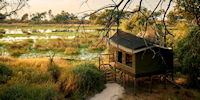 camp d'oddballs dans l'okavango - safari au botswana