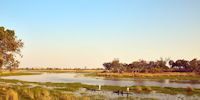 mokoro dans l'okavango - safari au botswana