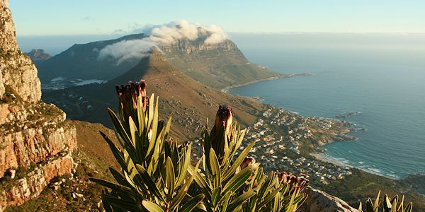 vue sur la baie de Hout Bay au Cap  - Voyage en Afrique du Sud