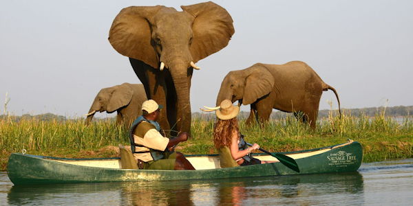 camp de charme dans l'Okavango - safari au Botswana