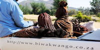 famille himba a bord de notre Hilux - voyage namibie