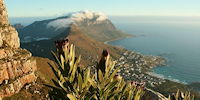 vue sur Hout Bay - Voyage en Afrique du Sud