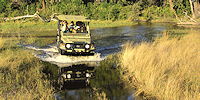 safari en 4x4 dans l'okavango au botswana