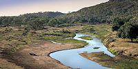 safari a pied dans le parc kruger en afrique du sud