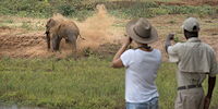 safari a pied dans le parc kruger en afrique du sud