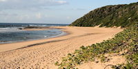 plage dans le parc d'isimangaliso en afrique du sud