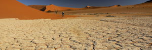 marche dans le namib - voyage en namibie