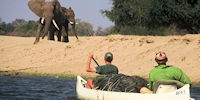 Safari en canoe sur le Zambeze - safari au zimbabwe