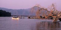 Safari en canoe a mana pools - safari au zimbabwe